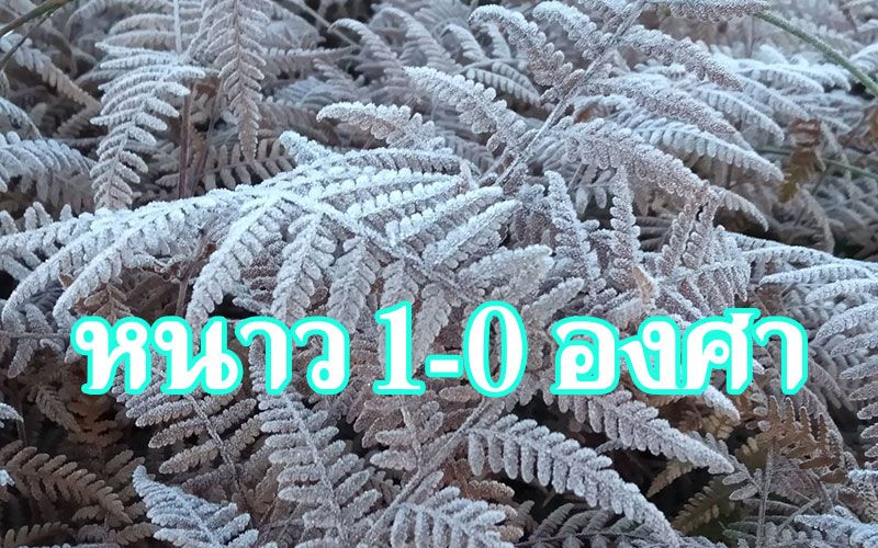 เวลาเปิดปิดตลาด forex 2022