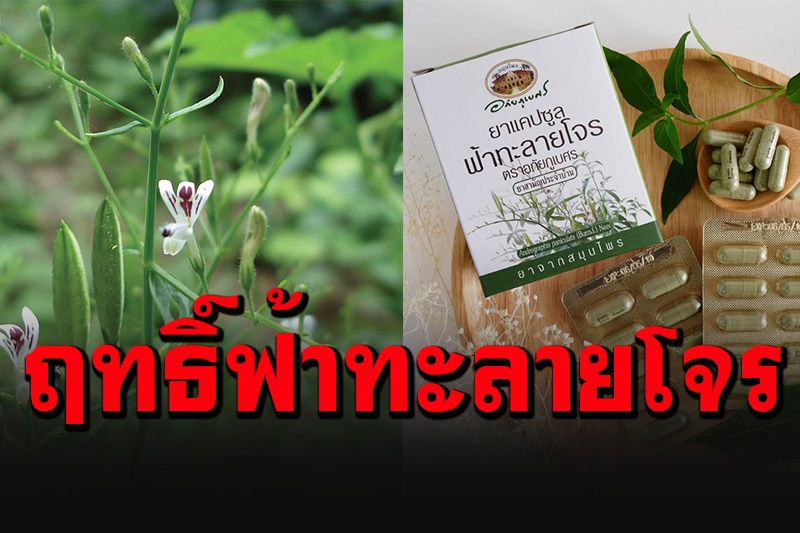 à¸‚ à¸²à¸§ Like à¸ªà¸²à¸£à¸° à¸­à¸  à¸¢à¸  à¹€à¸šà¸¨à¸£ à¹„à¸‚à¸‚ à¸­à¸‚ à¸­à¸‡à¹ƒà¸ˆà¸Š à¸